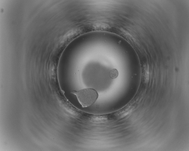 X0000088590619200705251151