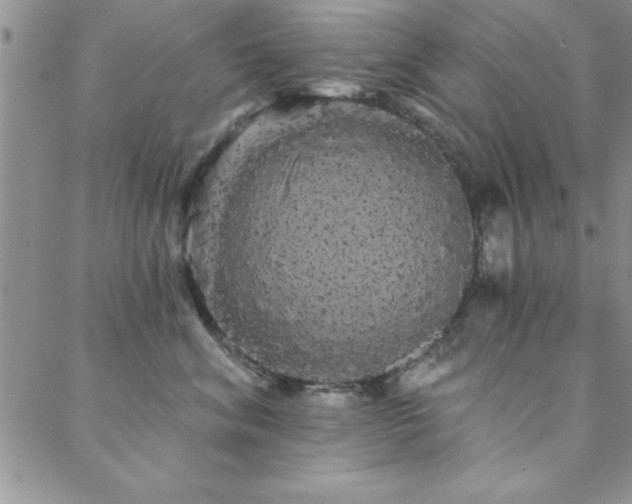 X0000088590620200705251151