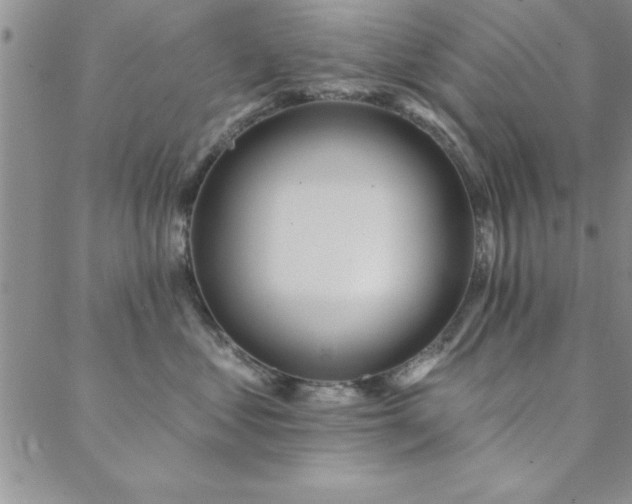 X0000088590621200705251151