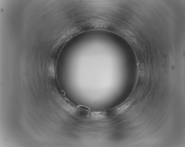 X0000088590622200705251151