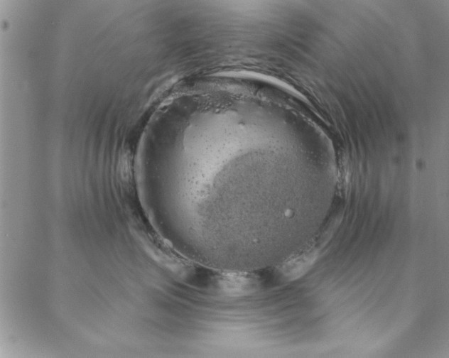 X0000088590623200705251151