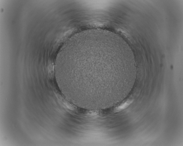 X0000088590624200705251151