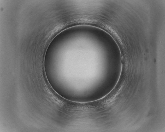 X0000088590625200705251150