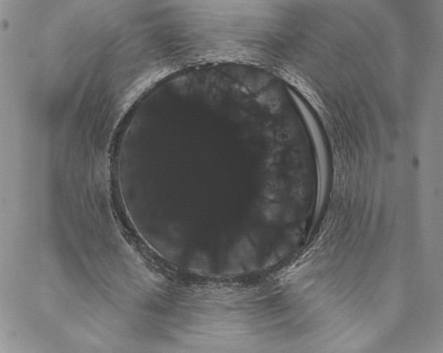 X0000088590626200705251150