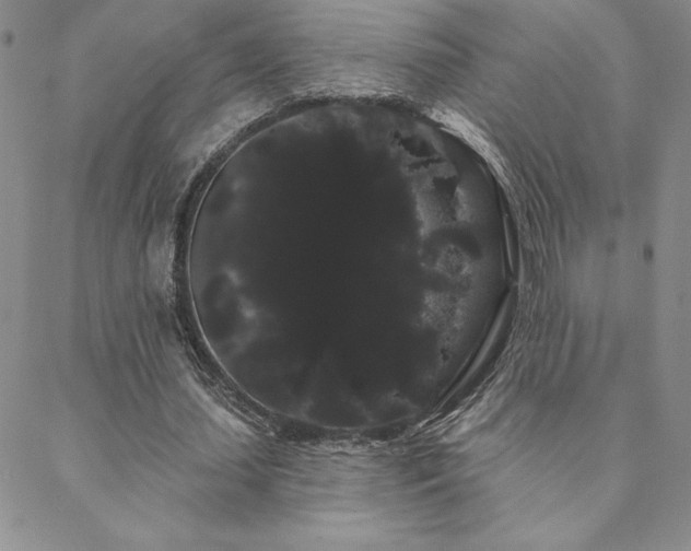 X0000088590627200705251150