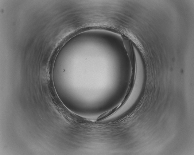 X0000088590628200705251150