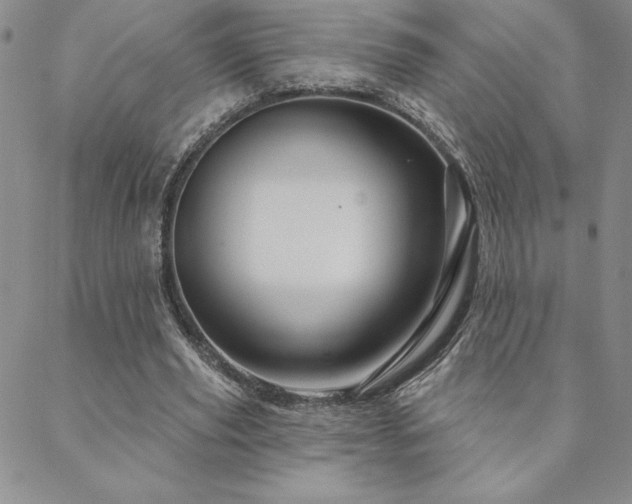 X0000088590629200705251150