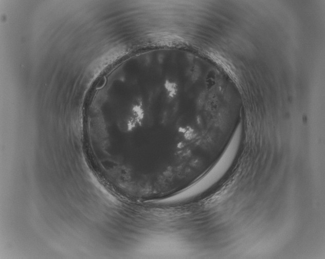 X0000088590630200705251150