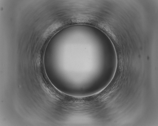 X0000088590631200705251150