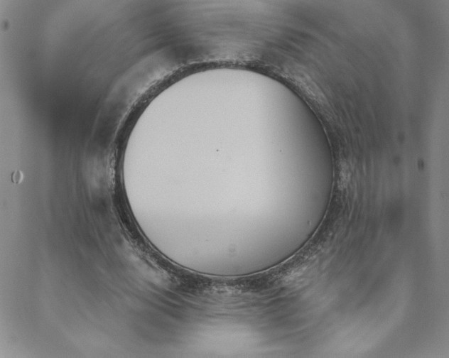 X0000088590632200705251150