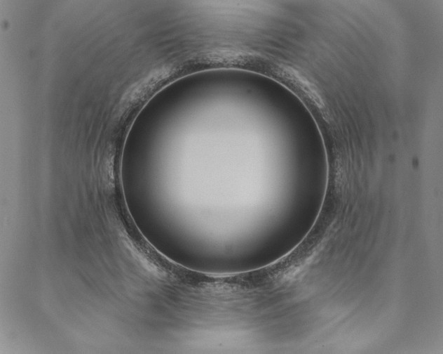 X0000088590633200705251150