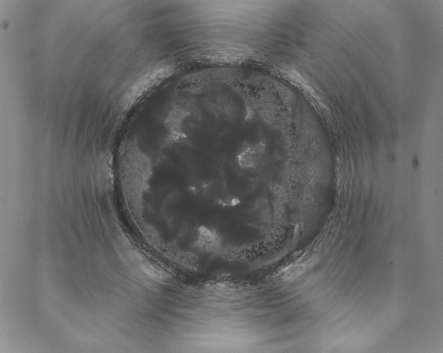 X0000088590634200705251150