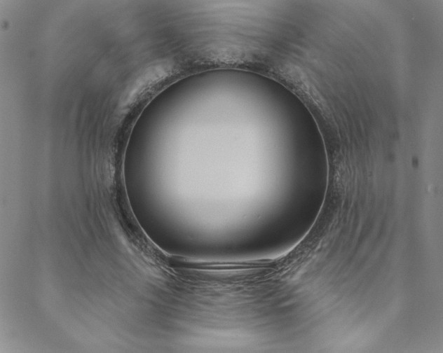 X0000088590635200705251150