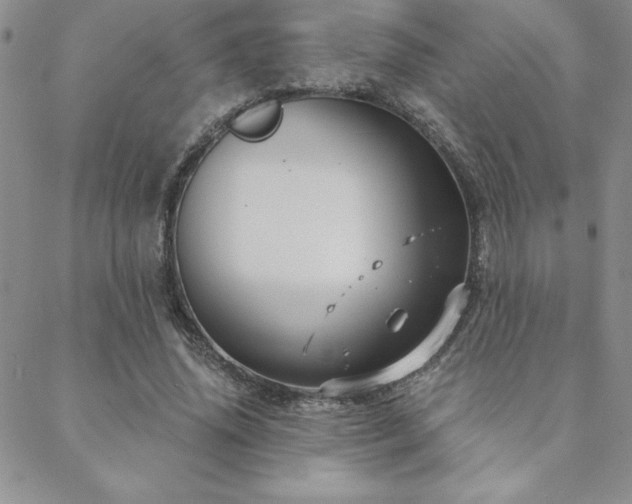 X0000088590636200705251150