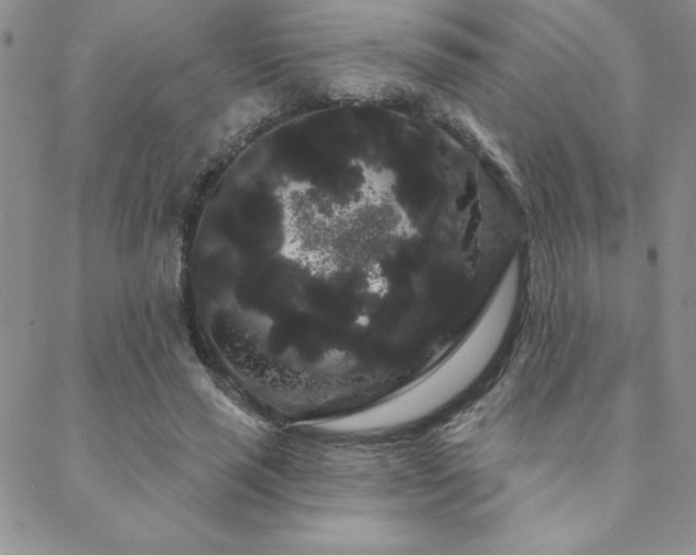 X0000088590637200705251150