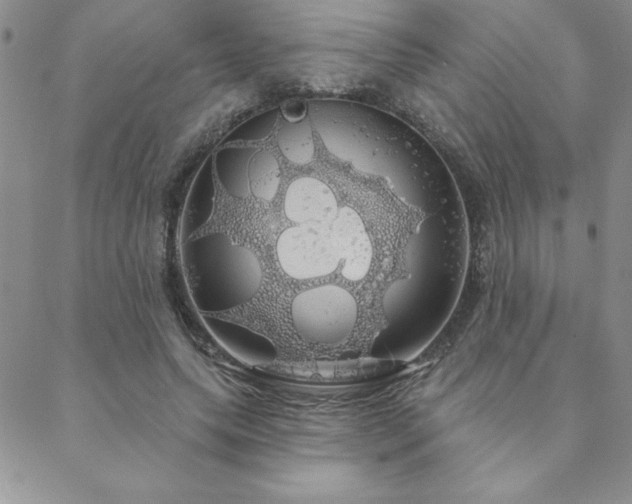 X0000088590639200705251150