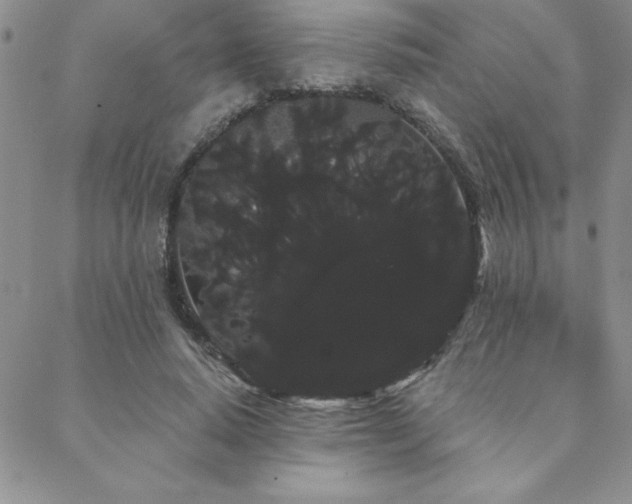 X0000088590640200705251150