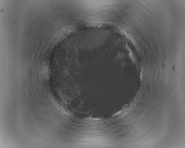 X0000088590641200705251150