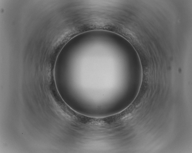 X0000088590642200705251150