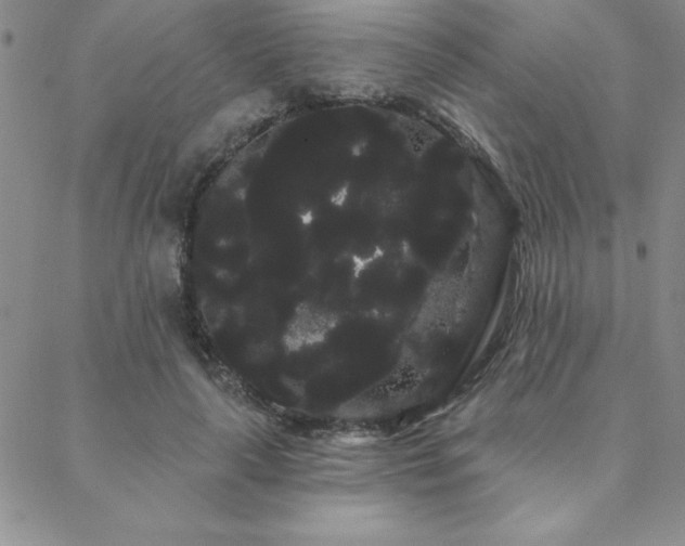 X0000088590643200705251150