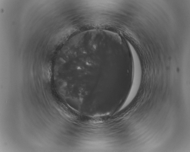 X0000088590644200705251150