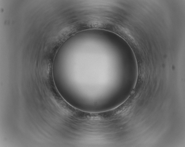 X0000088590645200705251150