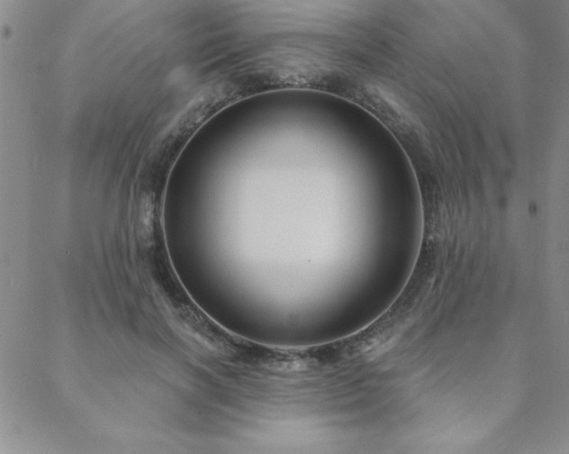 X0000088590646200705251150