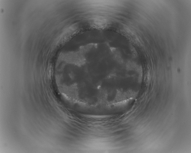 X0000088590647200705251150