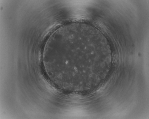 X0000088590648200705251150