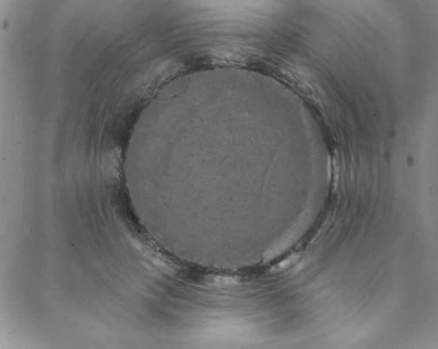 X0000088590649200705251150