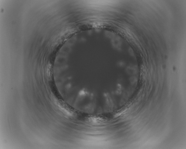 X0000088590650200705251150