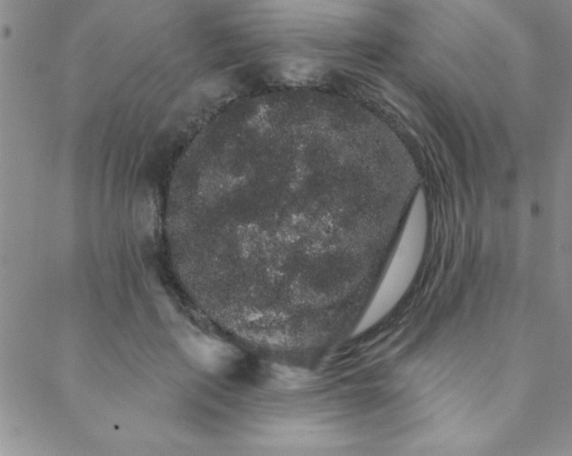 X0000088590651200705251150