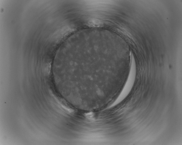 X0000088590652200705251150