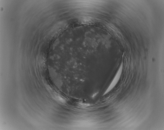 X0000088590653200705251150