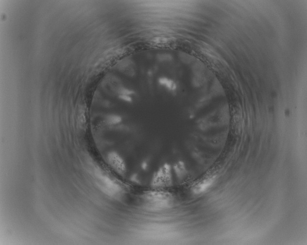 X0000088590654200705251150