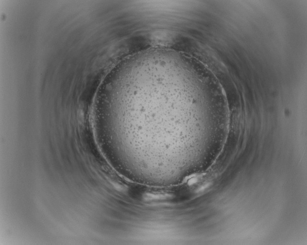 X0000088590655200705251150