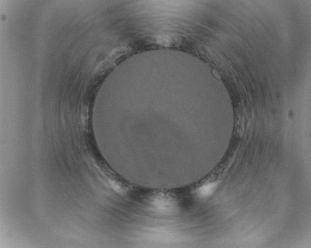 X0000088590656200705251150