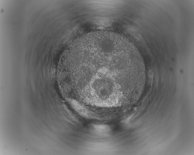 X0000088590657200705251150