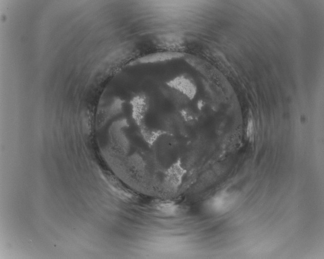 X0000088590658200705251150