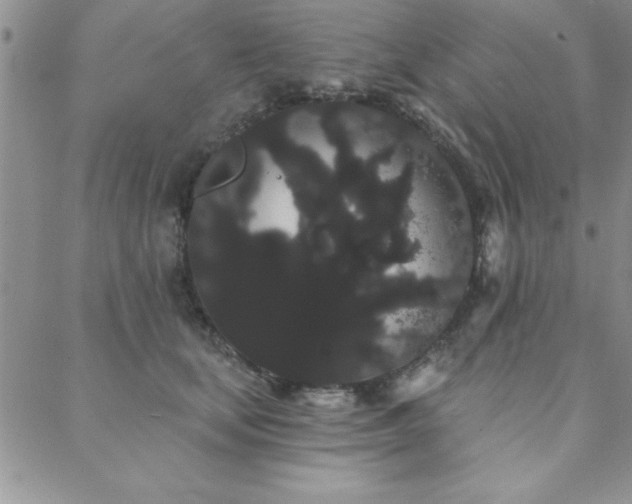 X0000088590659200705251150