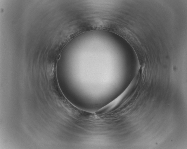 X0000088590660200705251150