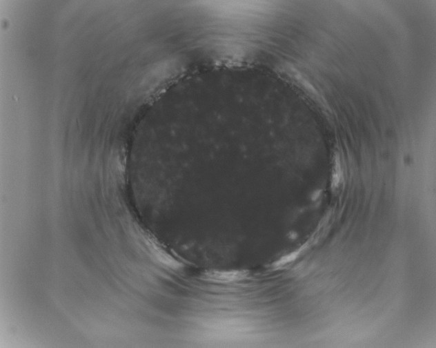 X0000088590661200705251150