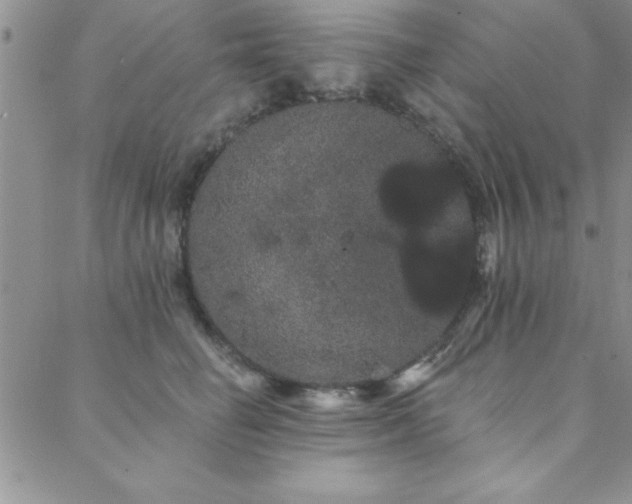 X0000088590662200705251150