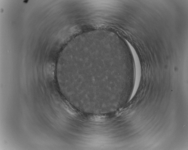 X0000088590664200705251150