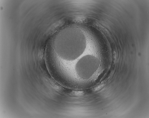 X0000088590665200705251150