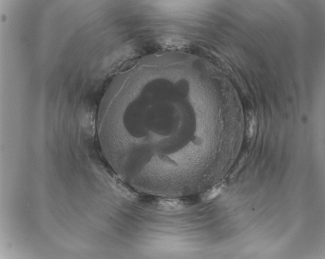 X0000088590666200705251150