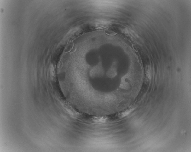 X0000088590667200705251150