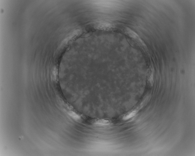 X0000088590669200705251150