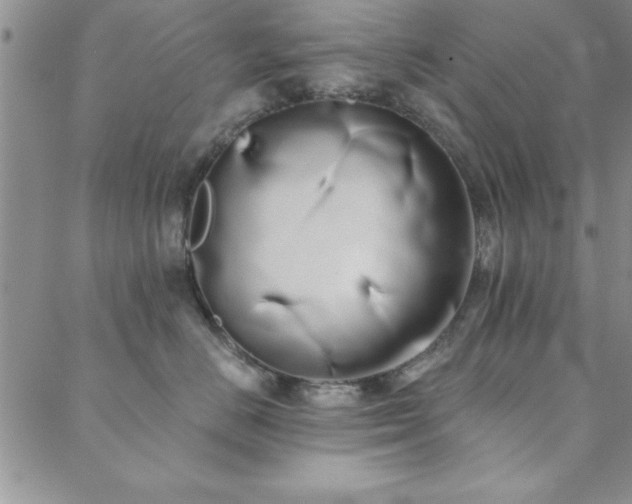 X0000088590670200705251150