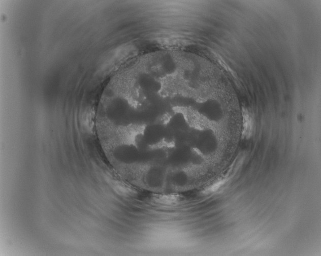 X0000088590671200705251151